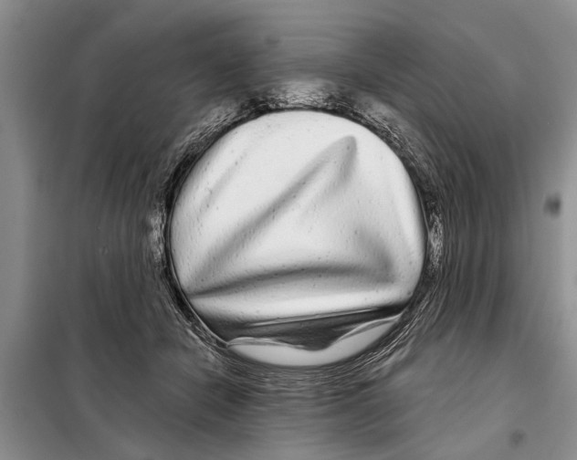 X0000097870462200804110928