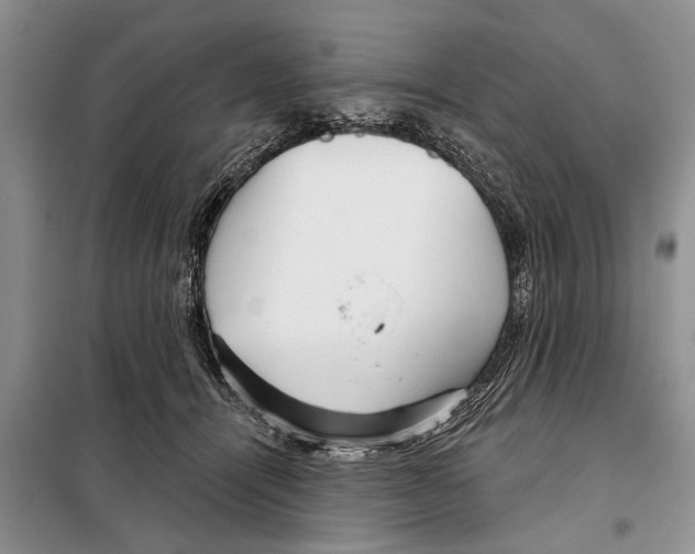 X0000097870464200804110928