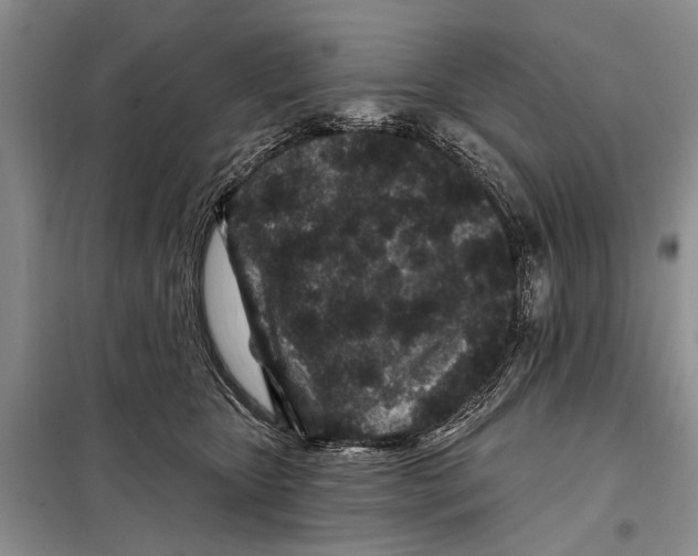 X0000097870467200804110928