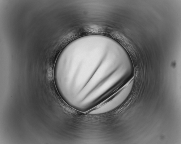 X0000097870469200804110928