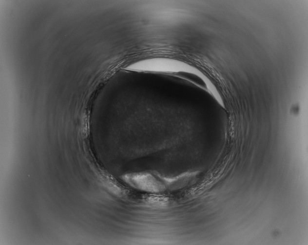 X0000097870471200804110928
