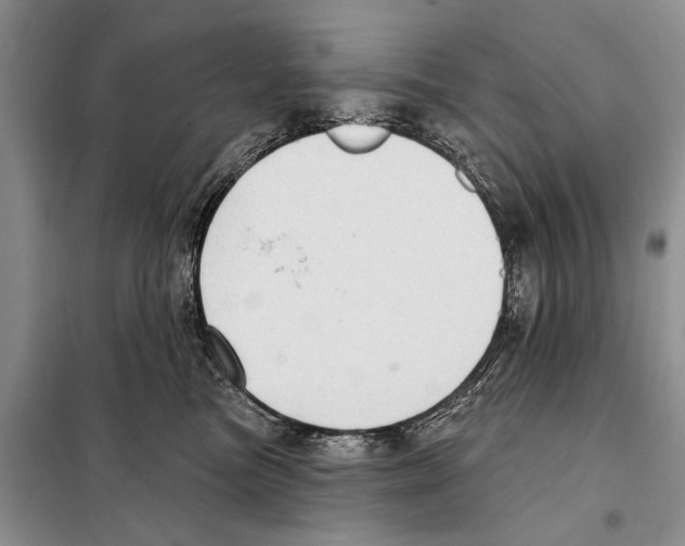 X0000097870473200804110928