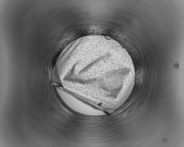 X0000097870474200804110928