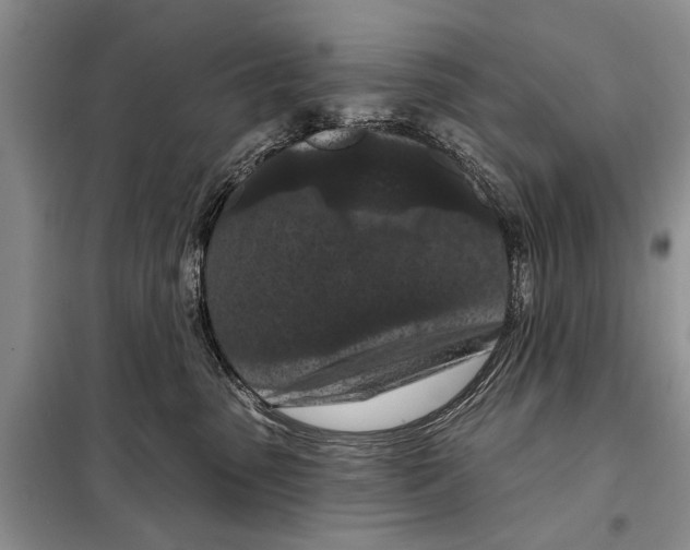 X0000097870475200804110928