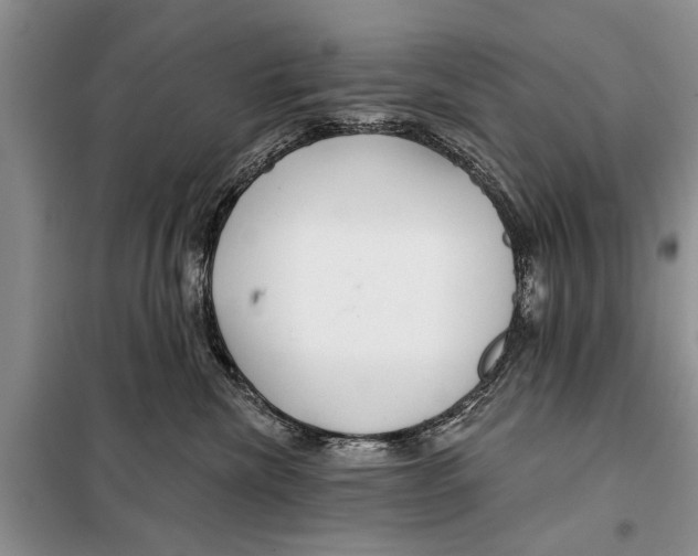 X0000097870476200804110928