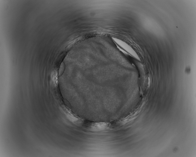 X0000097870479200804110928