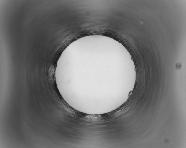 X0000097870480200804110928