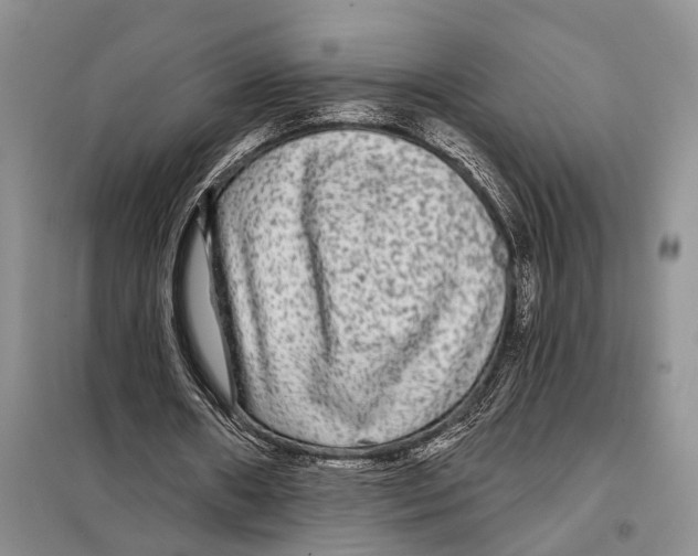 X0000097870482200804110928