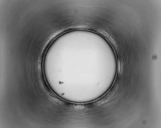 X0000097870483200804110928
