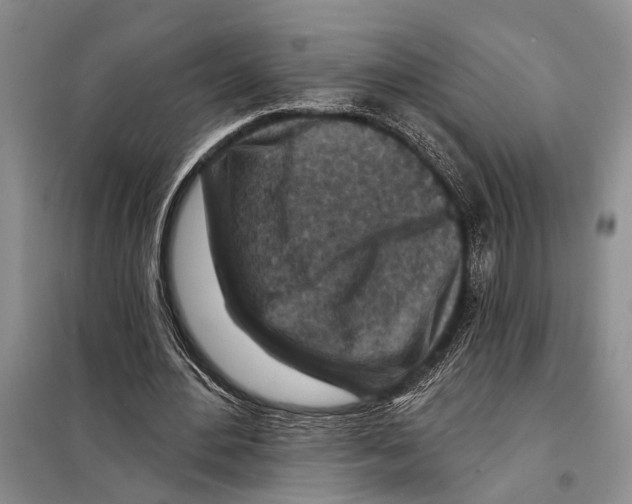 X0000097870484200804110928