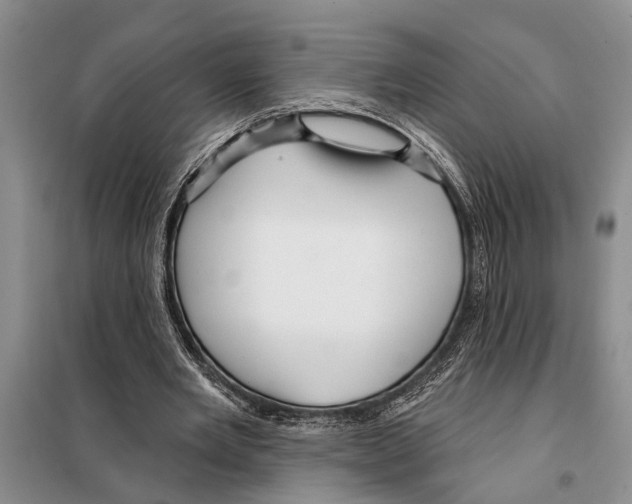 X0000097870485200804110928