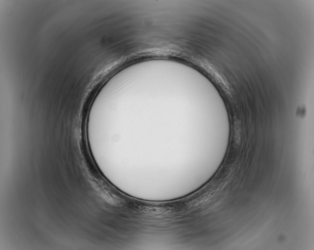 X0000097870486200804110928