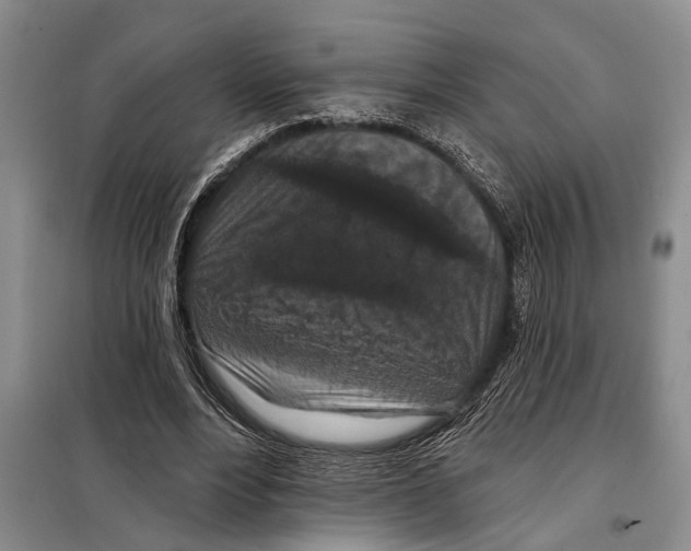 X0000097870488200804110928