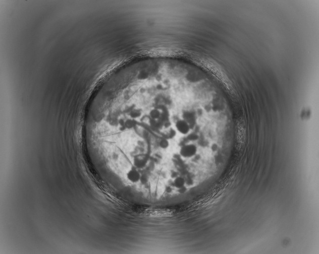 X0000097870491200804110927