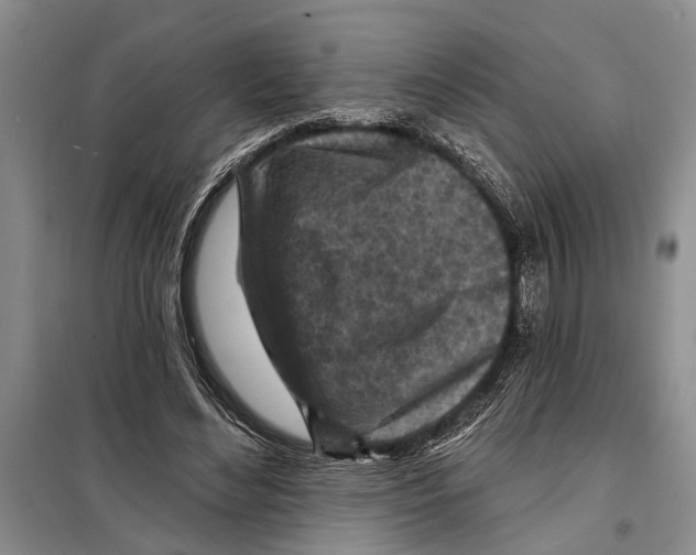 X0000097870492200804110927