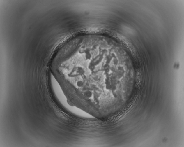 X0000097870495200804110927