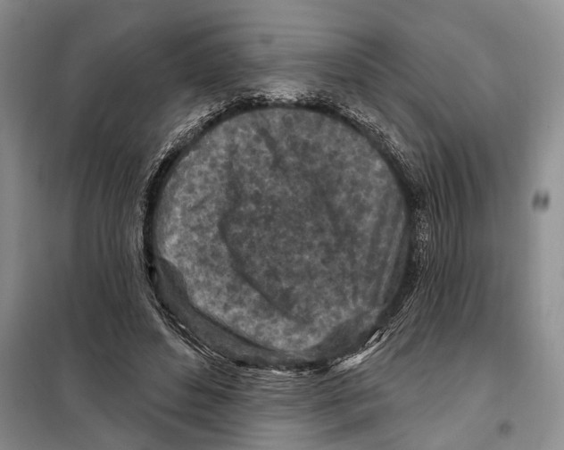 X0000097870496200804110927