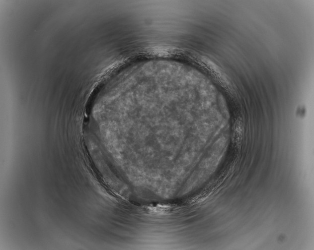 X0000097870500200804110927