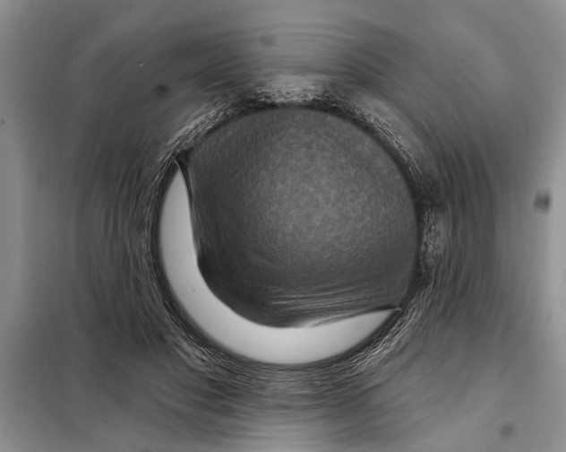 X0000097870501200804110927