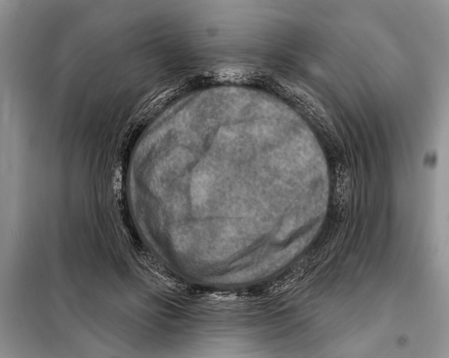 X0000097870502200804110927