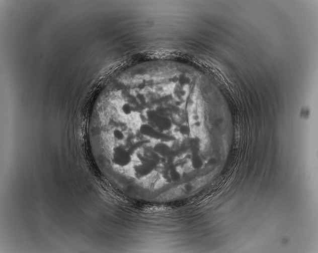 X0000097870503200804110927