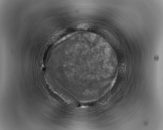 X0000097870504200804110927