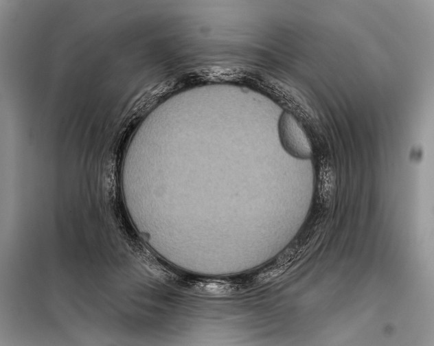 X0000097870506200804110927