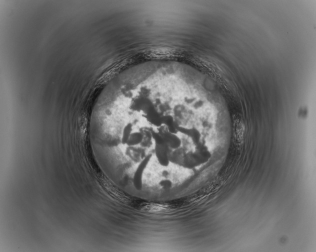 X0000097870507200804110927