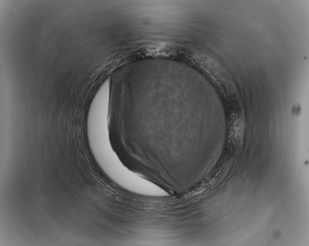 X0000097870513200804110927