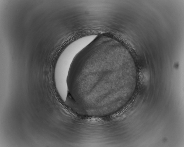 X0000097870517200804110927