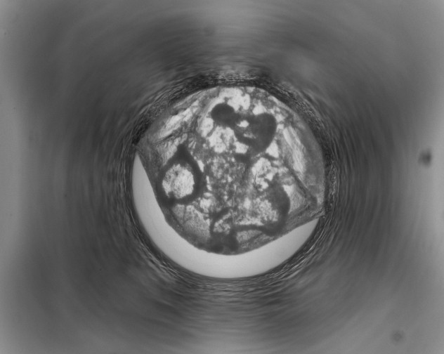 X0000097870519200804110927
