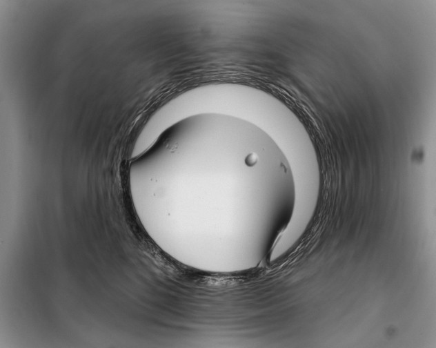 X0000097870520200804110927