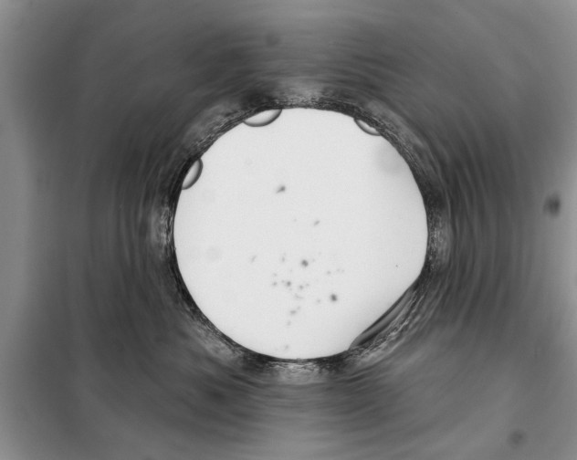 X0000097870525200804110927