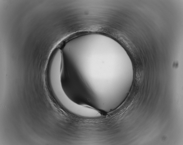 X0000097870532200804110926