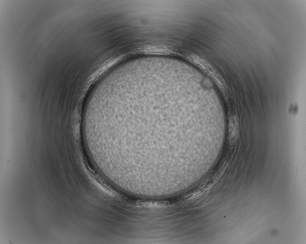 X0000097870533200804110926