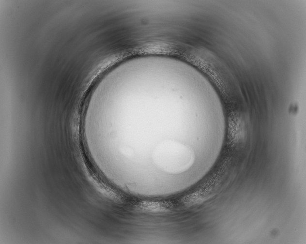 X0000097870534200804110926