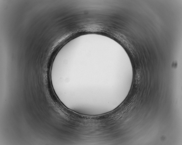 X0000097870535200804110926