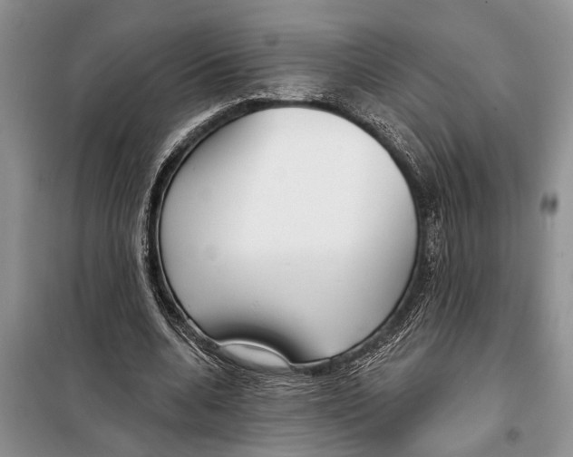 X0000097870536200804110926