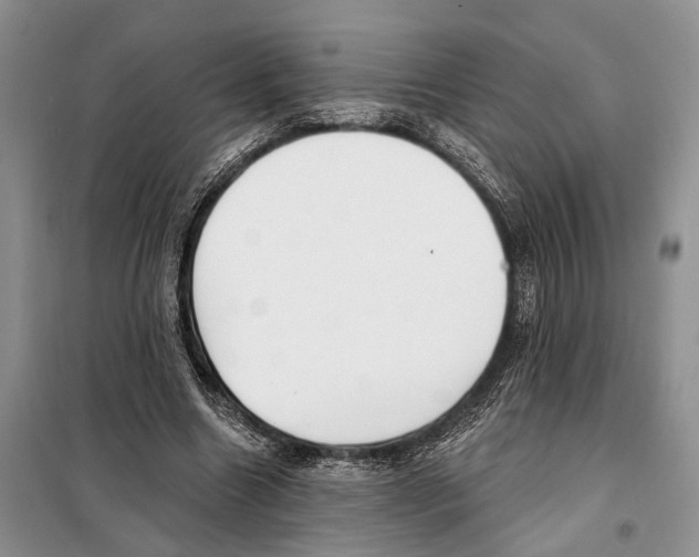 X0000097870538200804110926