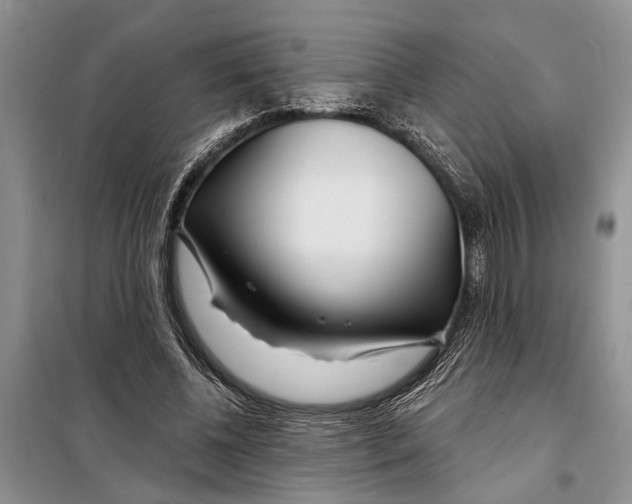 X0000097870540200804110926
