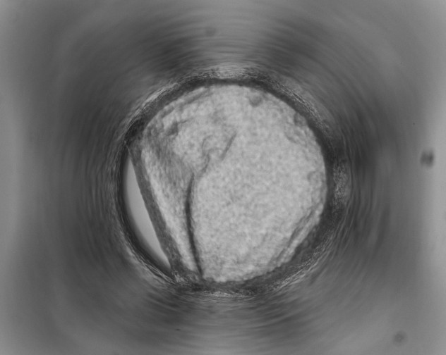 X0000097870542200804110926