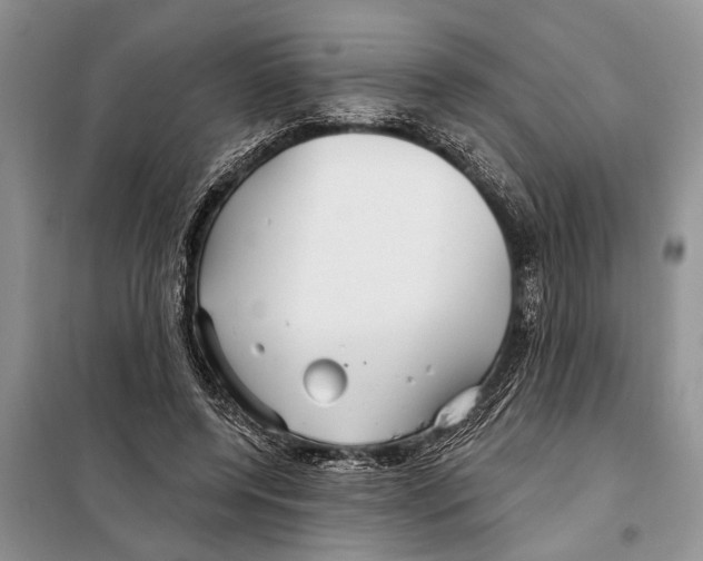 X0000097870544200804110926
