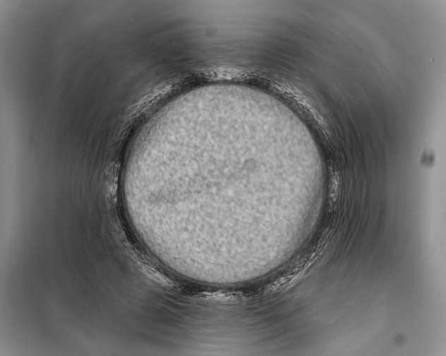X0000097870545200804110926