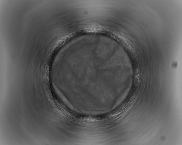 X0000097870547200804110926