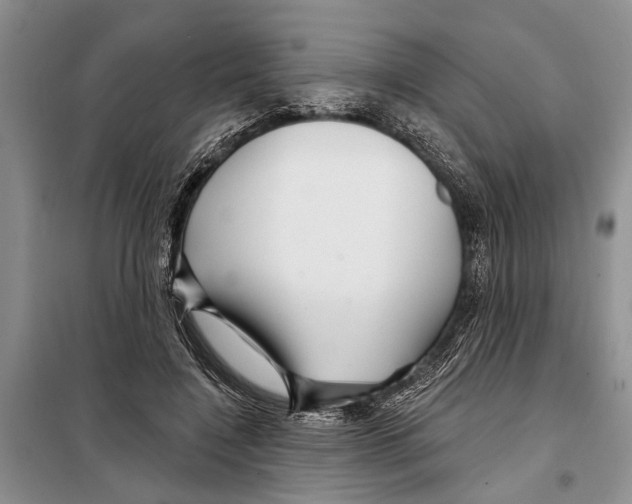 X0000097870548200804110926
