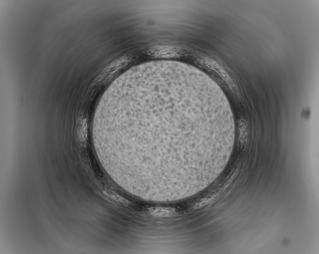 X0000097870549200804110926