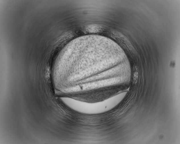 X0000097870555200804110926