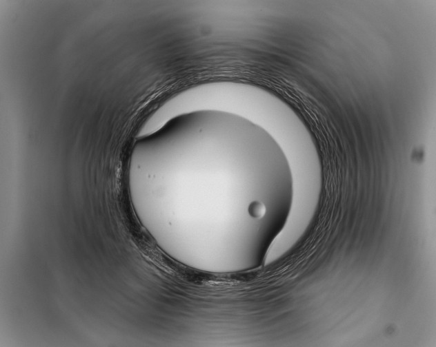 X0000097870556200804110926