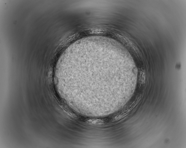 X0000097870557200804110926