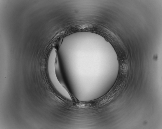X0000097870558200804110926